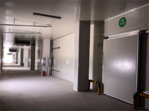 建一個5000立方香蕉冷藏冷庫大概要多少錢？