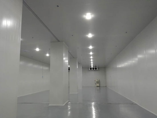 建設大型食品冷鏈物流冷藏庫費用一般是多少？