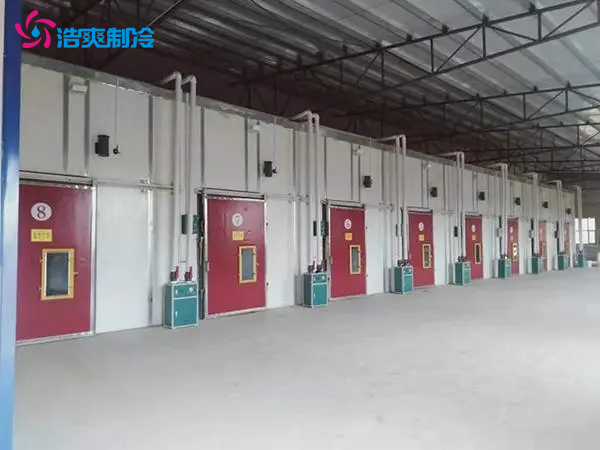 果蔬氣調(diào)冷藏庫(kù) 火龍果 獼猴桃冷庫(kù)建造 鮮花保鮮冷庫(kù) 