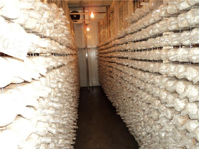 建一個100平方香菇冷庫全套要多少錢？