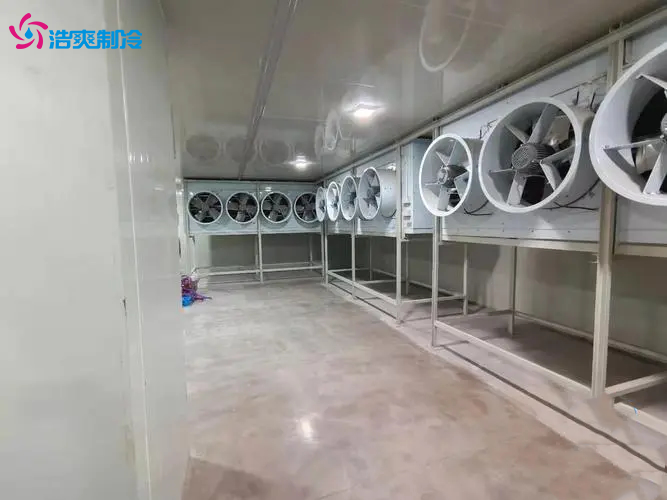 江蘇建造一個(gè)速凍冷凍報(bào)價(jià)需要多少錢