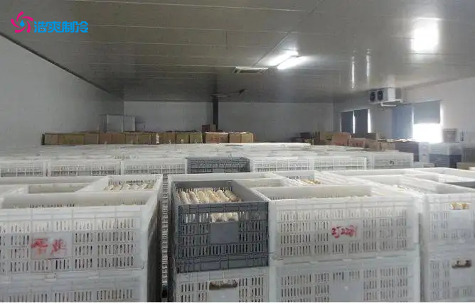 企業(yè)在建造冷庫(kù)前需要做好的四方面的準(zhǔn)備