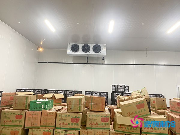 建設(shè)大型冷庫造價成本需要多少資金投入呢？