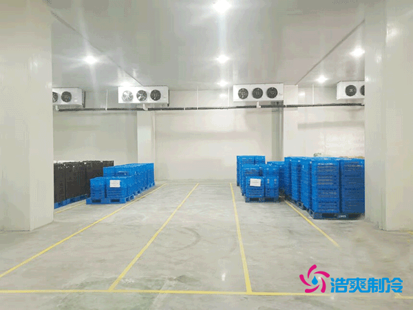 建造一座5000平方米的冷藏庫造價(jià)需要多少資金？