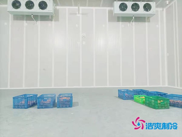 200噸蔬菜保鮮冷庫造價(jià)多少錢？需要多大面積？