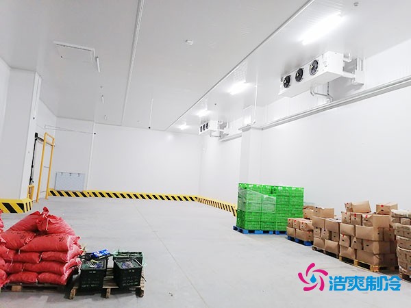 200噸蔬菜保鮮冷庫造價(jià)多少錢？需要多大面積？