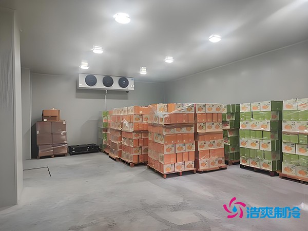 1000噸果蔬保鮮庫造價揭秘，節(jié)省成本就靠這幾點！