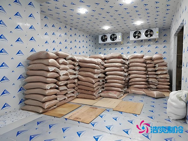2萬(wàn)起建種子冷庫(kù)？這些因素讓造價(jià)翻倍！