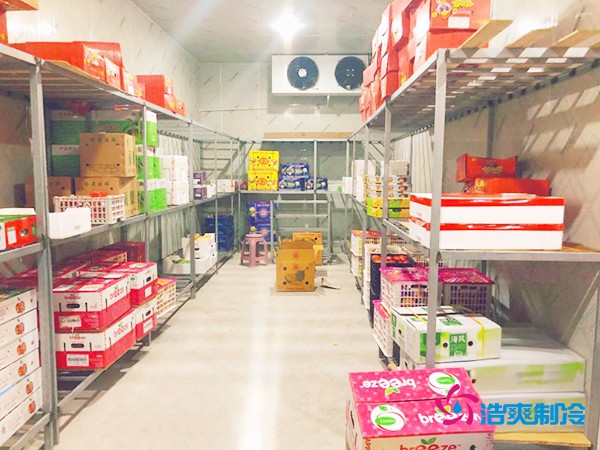 5噸水果需要多大冷庫？答案出乎意料！