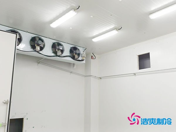 上海小型冷庫造價(jià)揭秘！2萬起真的靠譜嗎？