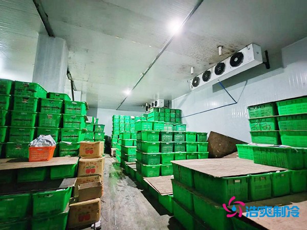 水果保鮮冷庫建造價(jià)格每平米多少錢？