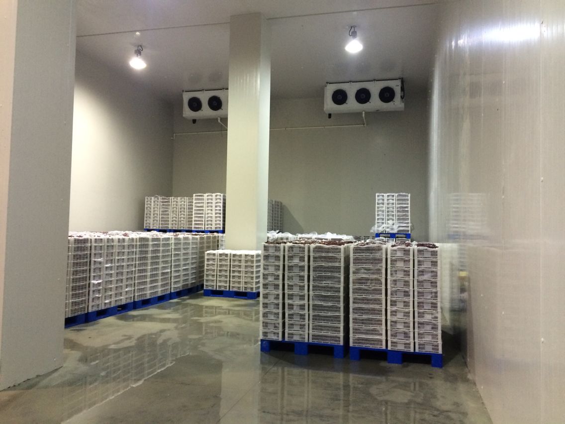 2000噸水果冷庫，冷庫安裝費(fèi)用多少
