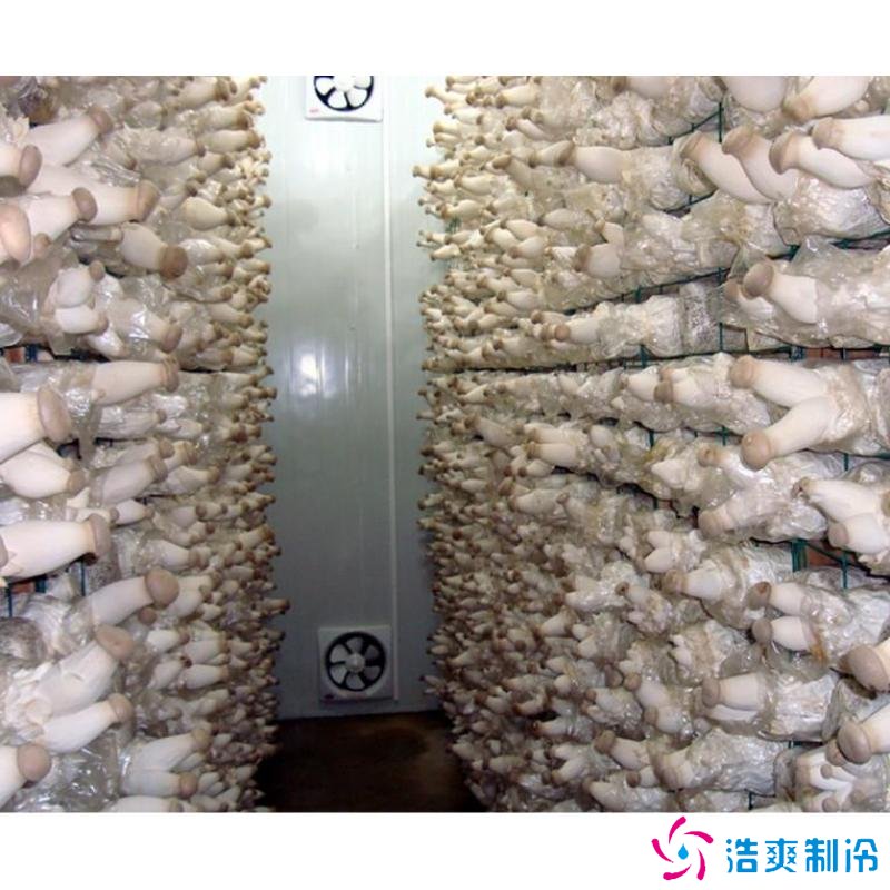 蘑菇冷庫建造成本多少錢，蘑菇冷藏方法哪些