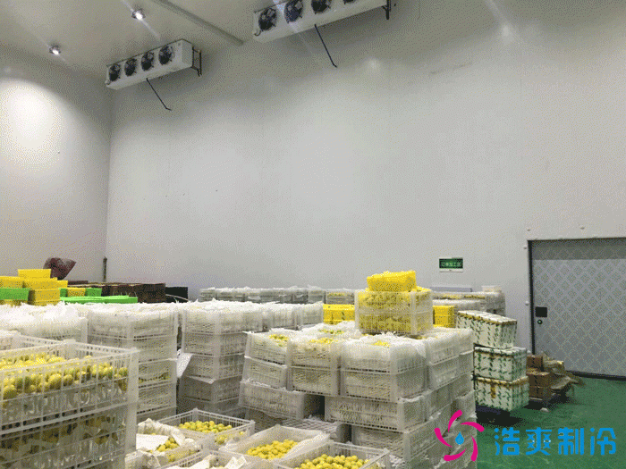 500噸蘋(píng)果保鮮庫(kù)
