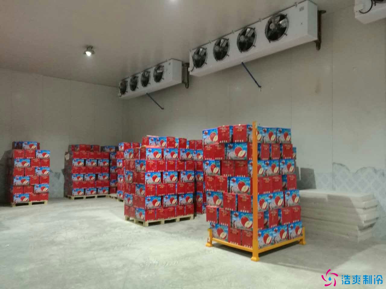 500噸蘋(píng)果保鮮庫(kù)