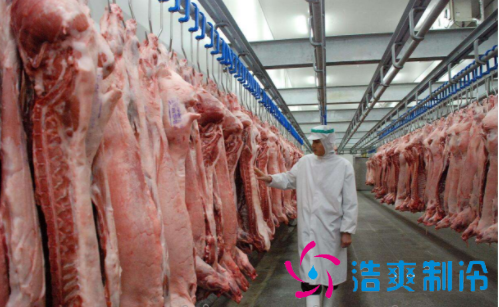 500噸肉類冷凍庫(kù)