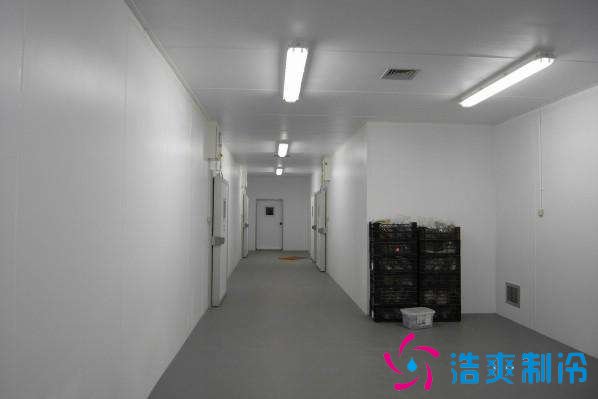 預(yù)建1000噸果蔬冷庫(kù)設(shè)計(jì)規(guī)劃，冷庫(kù)價(jià)格多少錢(qián)