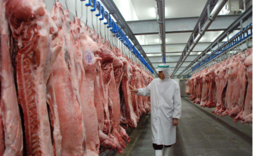 1000噸禽肉類冷庫(kù)