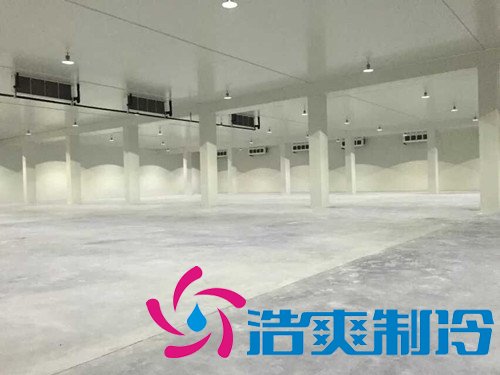 5000平米生鮮物流冷庫設計，冷庫設備安裝成本多少錢
