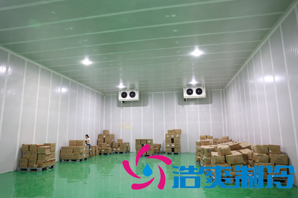上海藥廠建造-20℃醫(yī)藥血漿冷庫，超低溫血漿冷庫定制預(yù)算多少