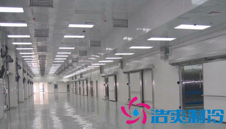 食品廠建20000平米生鮮食品物流冷庫，冷庫設計安裝造價