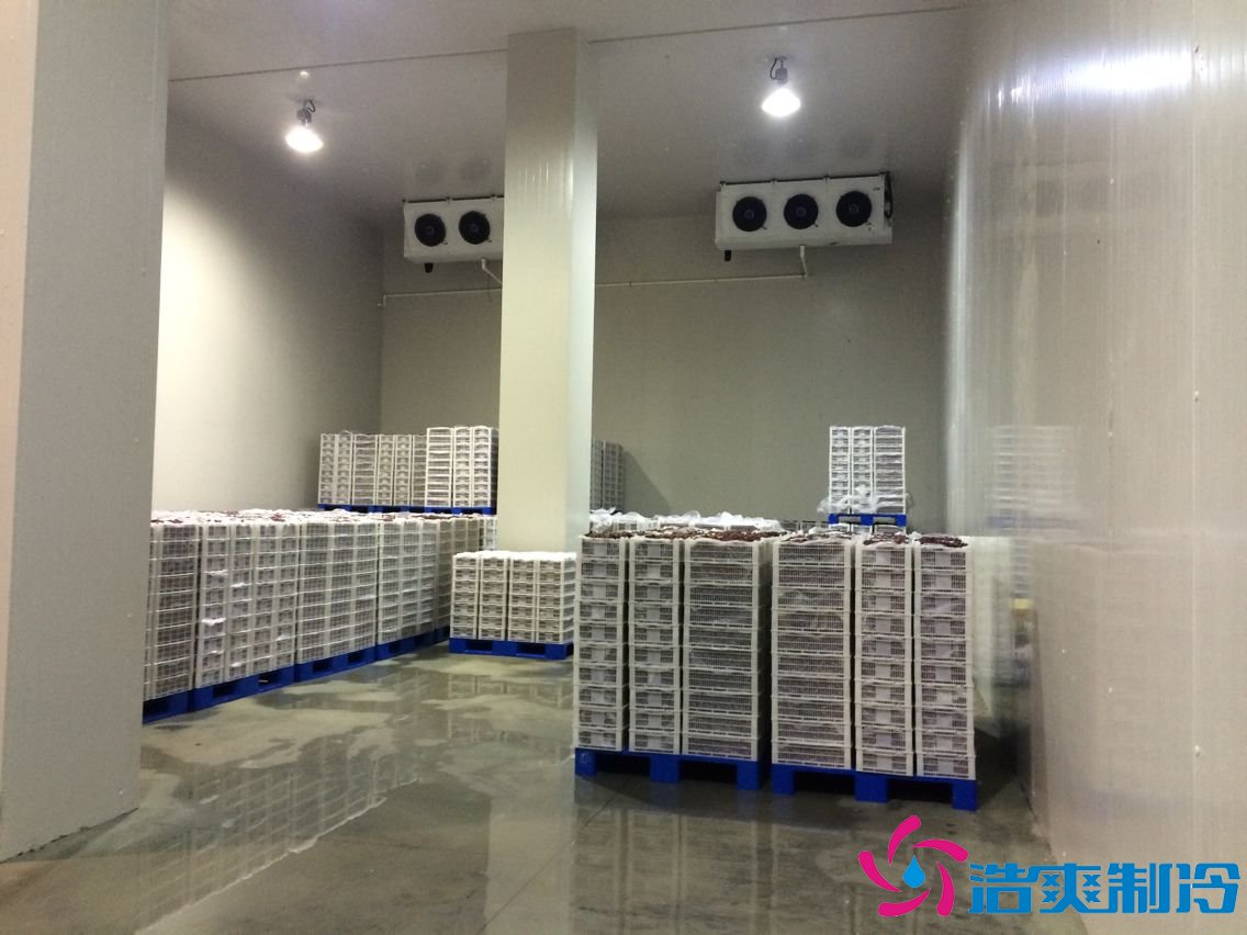 5000平米生鮮電商冷庫(冷鏈中心配送冷庫)怎么核算價格