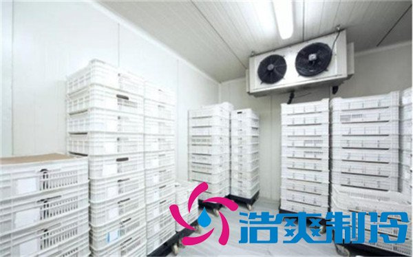上海速凍包子/水餃冷庫(-30℃)