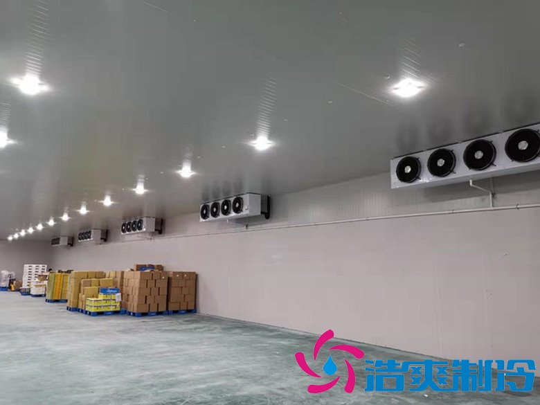大型生鮮配送冷庫選址及(水產(chǎn)冷凍庫)設計方案報價