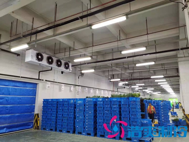 大型生鮮配送冷庫選址及(水產(chǎn)冷凍庫)設計方案報價