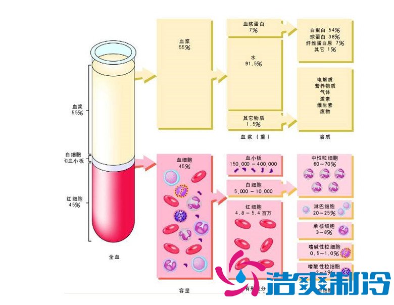 -30℃～-80℃血漿蛋白低溫冷凍庫(kù)規(guī)范，冷庫(kù)安裝價(jià)格