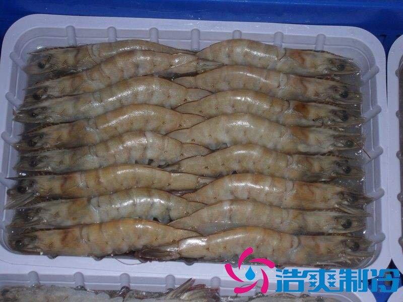 -18℃~-25℃冷凍食品低溫倉儲設(shè)備安裝費(fèi)用多少錢