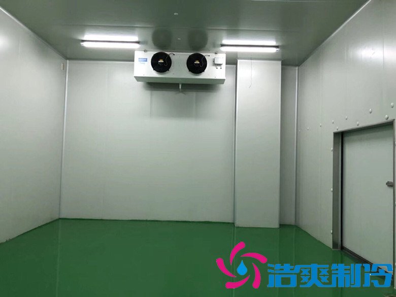 醫(yī)療冷庫的安裝標(biāo)準(zhǔn)，2-8℃生物制品冷庫安裝制冷設(shè)備造價 冷庫內(nèi)景圖片