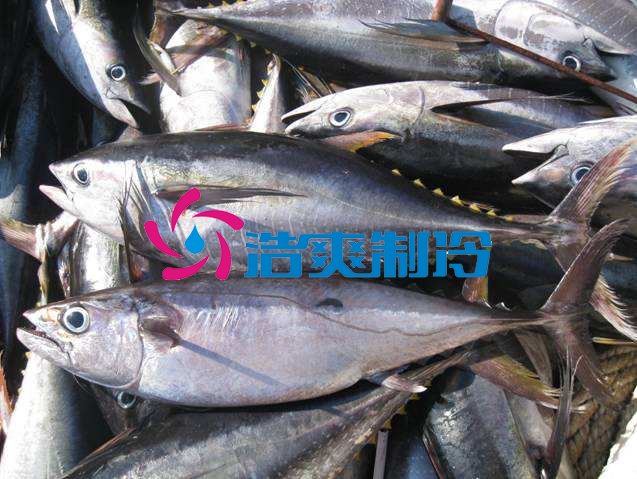 浩爽制冷，海鮮冷凍庫(kù)
