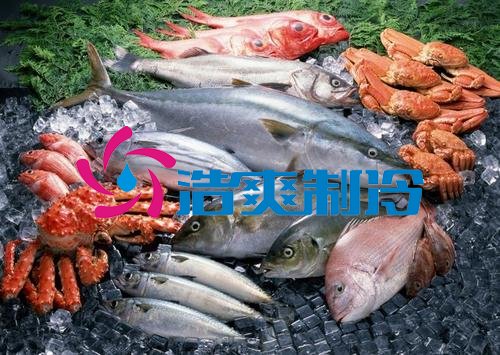 浩爽制冷，海鮮冷凍庫、食品冷凍庫